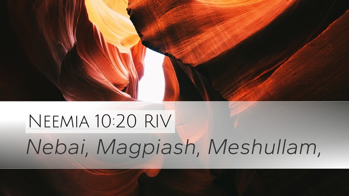Neemia 10:20 RIV Bible Verse Image