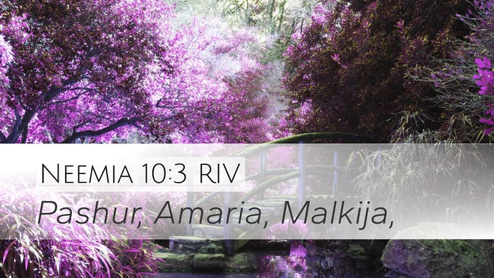 Neemia 10:3 RIV Desktop Wallpaper - Pashur, Amaria, - Desktop Bible Verse Wallpaper
