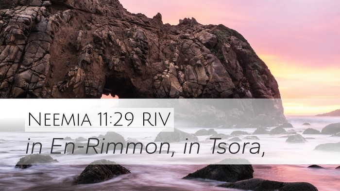 Neemia 11:29 RIV Bible Verse Image
