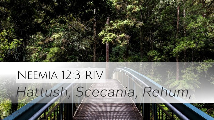 Neemia 12:3 RIV Bible Verse Image