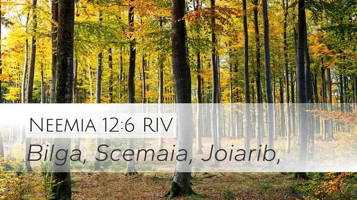 Neemia 12:6 RIV Bible Verse Image