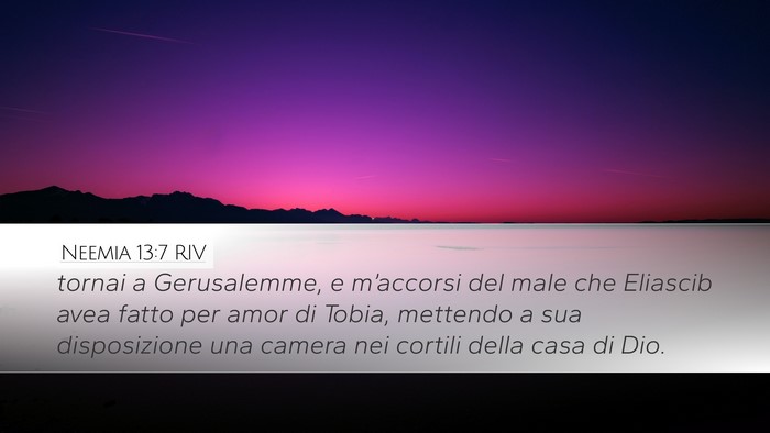 Neemia 13:7 RIV Bible Verse Image