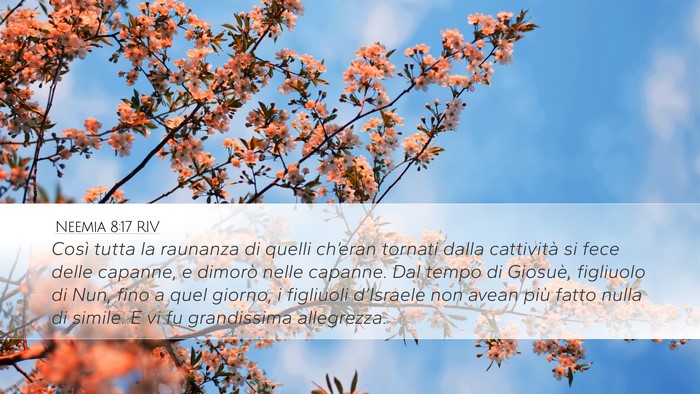 Neemia 8:17 RIV Desktop Wallpaper - Così tutta la raunanza di quelli ch’eran - Desktop Bible Verse Wallpaper