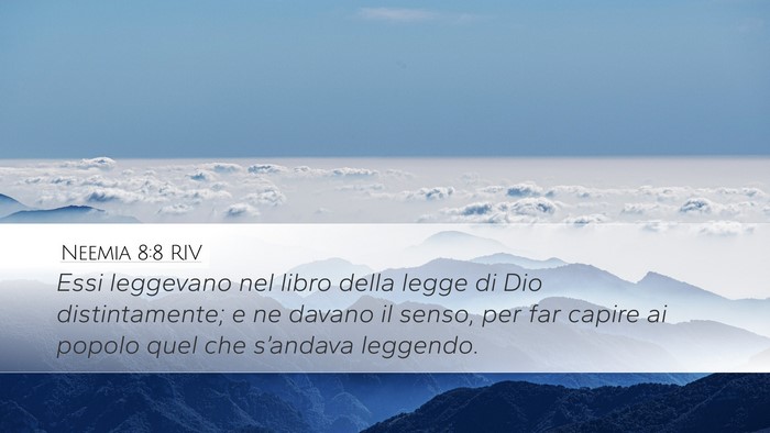 Neemia 8:8 RIV Bible Verse Image