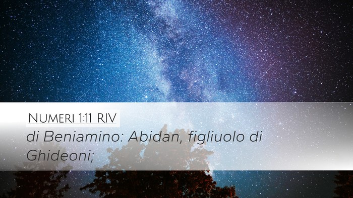 Numeri 1:11 RIV Bible Verse Image