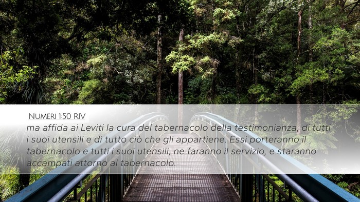 Numeri 1:50 RIV Bible Verse Image
