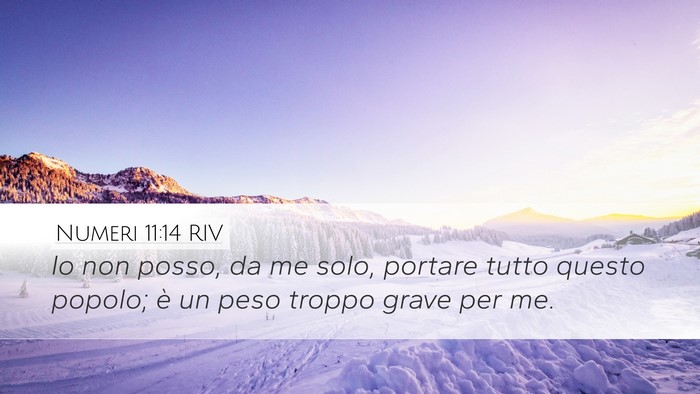 Numeri 11:14 RIV Desktop Wallpaper - Io non posso, da me solo, portare tutto questo - Desktop Bible Verse Wallpaper