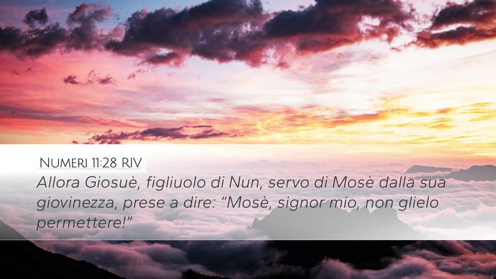 Numeri 11:28 RIV Desktop Wallpaper - Allora Giosuè, figliuolo di Nun, servo di Mosè - Desktop Bible Verse Wallpaper