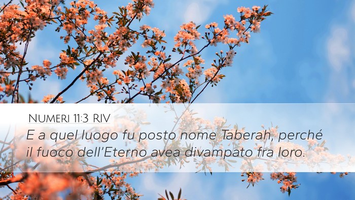 Numeri 11:3 RIV Desktop Wallpaper - E a quel luogo fu posto nome Taberah, perché il - Desktop Bible Verse Wallpaper
