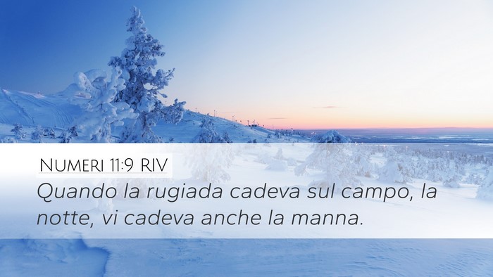 Numeri 11:9 RIV Desktop Wallpaper - Quando la rugiada cadeva sul campo, la notte, vi - Desktop Bible Verse Wallpaper