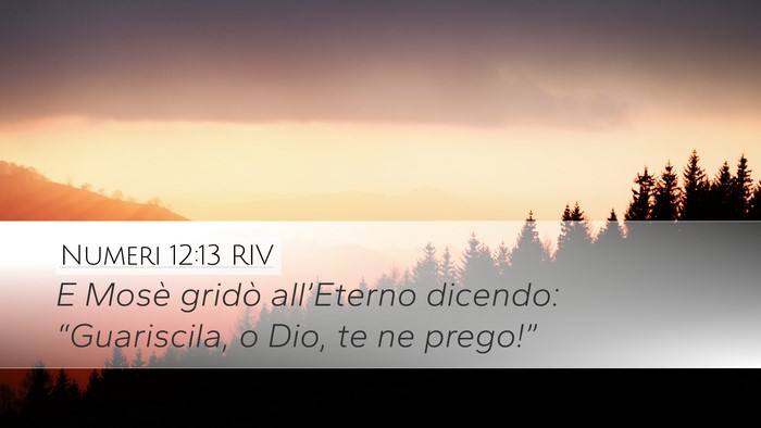 Numeri 12:13 RIV Bible Verse Image