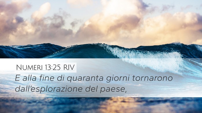 Numeri 13:25 RIV Desktop Wallpaper - E alla fine di quaranta giorni tornarono - Desktop Bible Verse Wallpaper