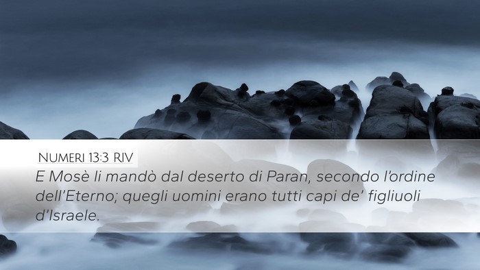 Numeri 13:3 RIV Bible Verse Image