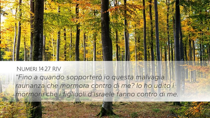 Numeri 14:27 RIV Desktop Wallpaper - “Fino a quando sopporterò io questa malvagia - Desktop Bible Verse Wallpaper