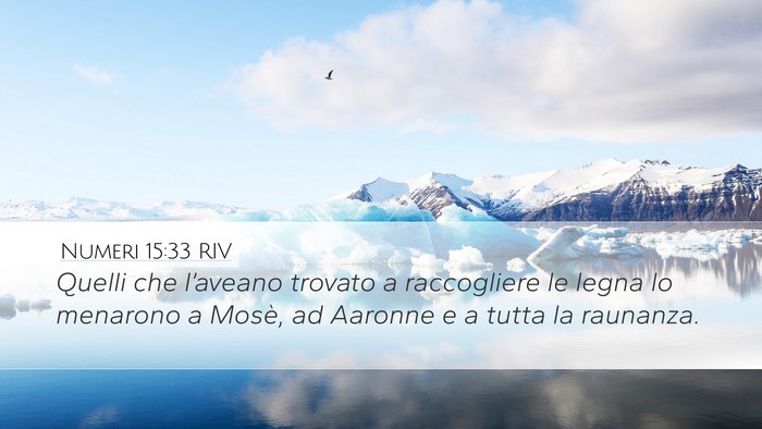 Numeri 15:33 RIV Desktop Wallpaper - Quelli che l’aveano trovato a raccogliere le - Desktop Bible Verse Wallpaper