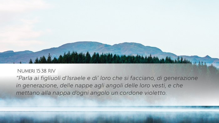 Numeri 15:38 RIV Bible Verse Image