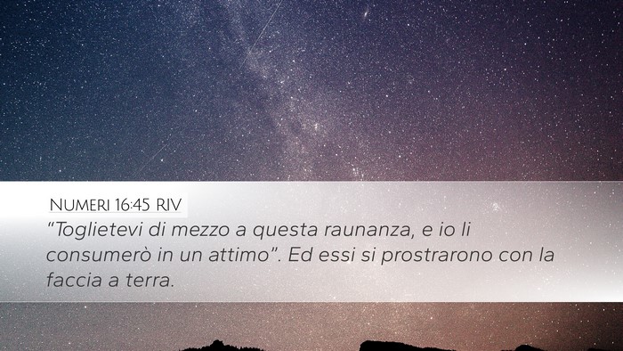Numeri 16:45 RIV Bible Verse Image