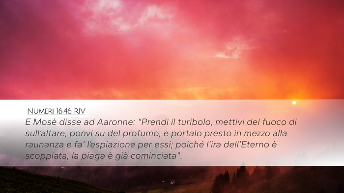 Numeri 16:46 RIV Bible Verse Image