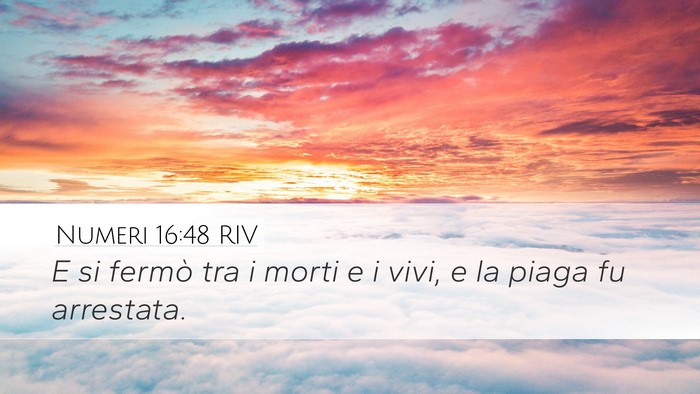 Numeri 16:48 RIV Desktop Wallpaper - E si fermò tra i morti e i vivi, e la piaga fu - Desktop Bible Verse Wallpaper