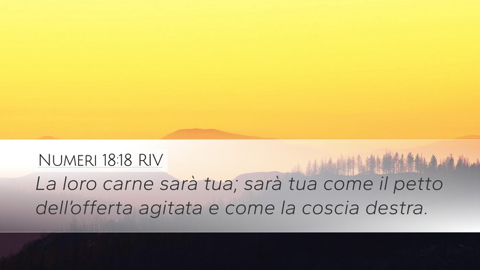 Numeri 18:18 RIV Bible Verse Image