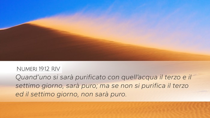 Numeri 19:12 RIV Desktop Wallpaper - Quand’uno si sarà purificato con quell’acqua - Desktop Bible Verse Wallpaper