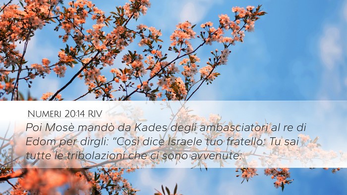 Numeri 20:14 RIV Bible Verse Image