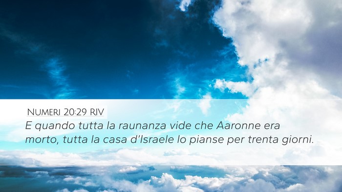 Numeri 20:29 RIV Bible Verse Image