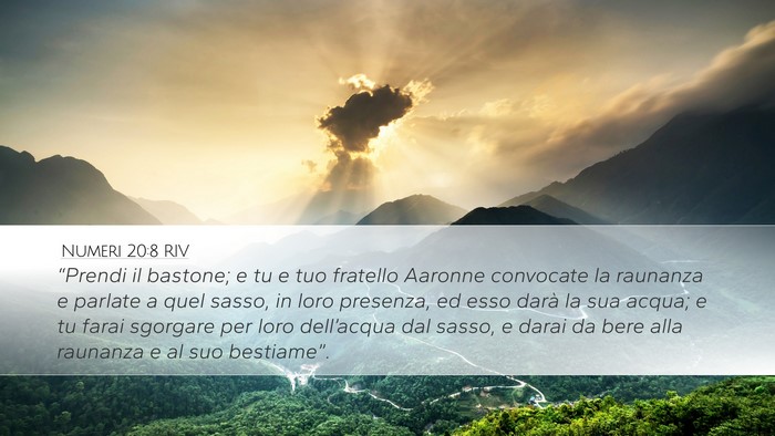 Numeri 20:8 RIV Bible Verse Image