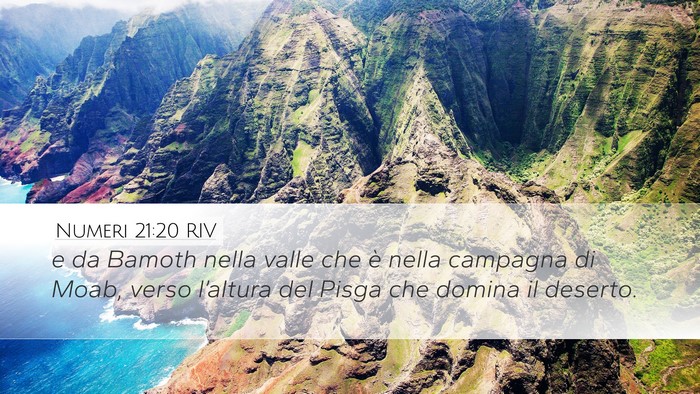 Numeri 21:20 RIV Bible Verse Image