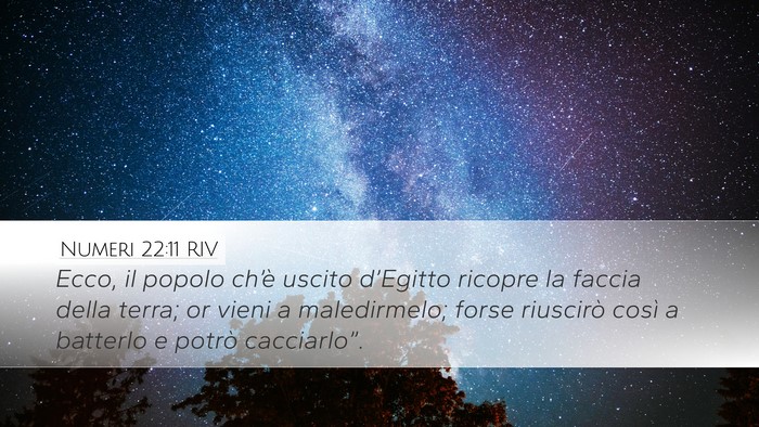 Numeri 22:11 RIV Desktop Wallpaper - Ecco, il popolo ch’è uscito d’Egitto ricopre - Desktop Bible Verse Wallpaper