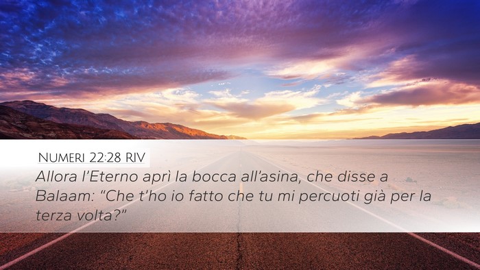 Numeri 22:28 RIV Bible Verse Image