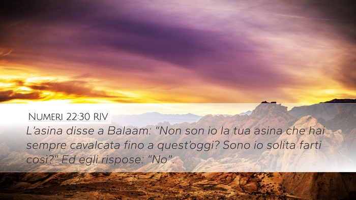 Numeri 22:30 RIV Desktop Wallpaper - L’asina disse a Balaam: “Non son io la tua - Desktop Bible Verse Wallpaper