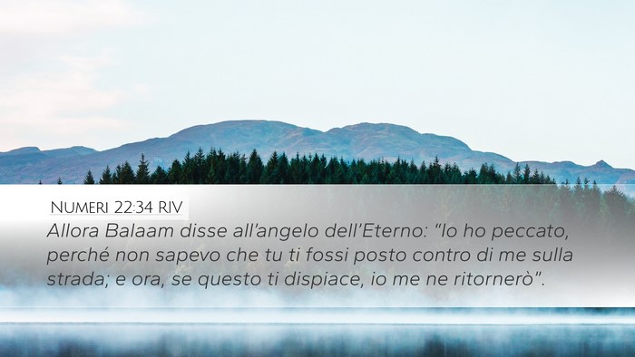 Numeri 22:34 RIV Desktop Wallpaper - Allora Balaam disse all’angelo dell’Eterno: - Desktop Bible Verse Wallpaper