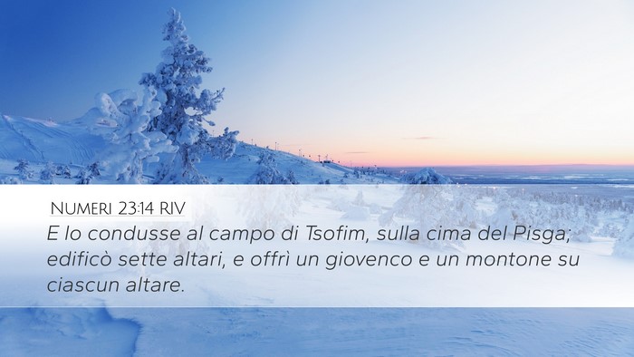 Numeri 23:14 RIV Bible Verse Image