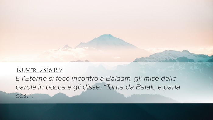 Numeri 23:16 RIV Bible Verse Image