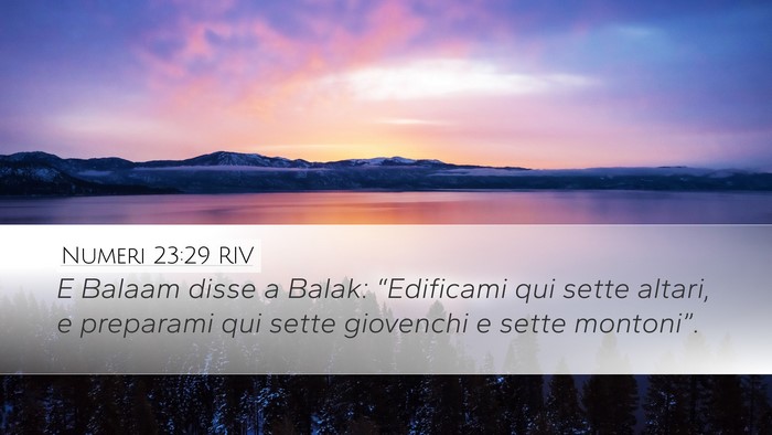 Numeri 23:29 RIV Bible Verse Image