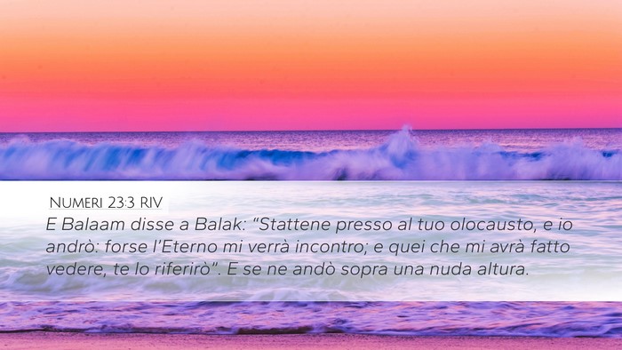 Numeri 23:3 RIV Bible Verse Image