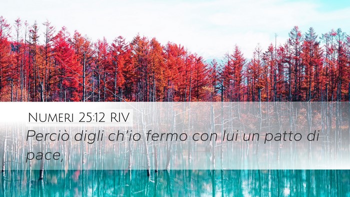 Numeri 25:12 RIV Bible Verse Image