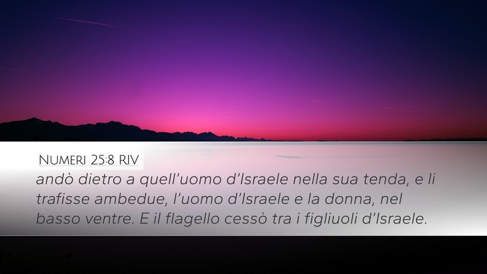 Numeri 25:8 RIV Bible Verse Image