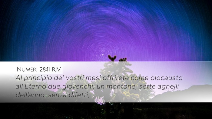 Numeri 28:11 RIV Bible Verse Image