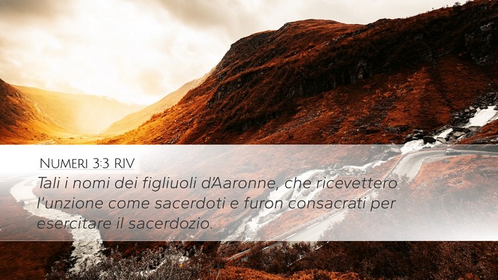 Numeri 3:3 RIV Bible Verse Image