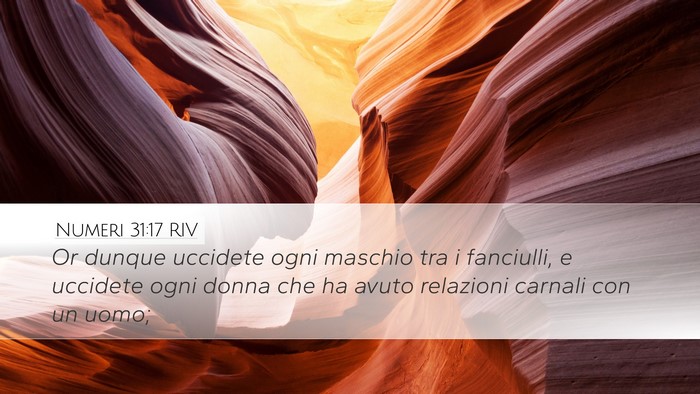Numeri 31:17 RIV Bible Verse Image