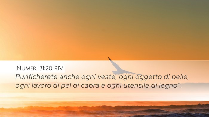 Numeri 31:20 RIV Desktop Wallpaper - Purificherete anche ogni veste, ogni oggetto di - Desktop Bible Verse Wallpaper