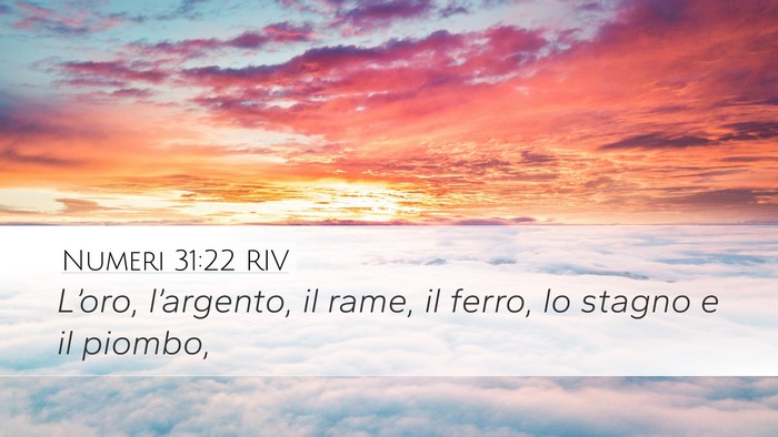 Numeri 31:22 RIV Bible Verse Image