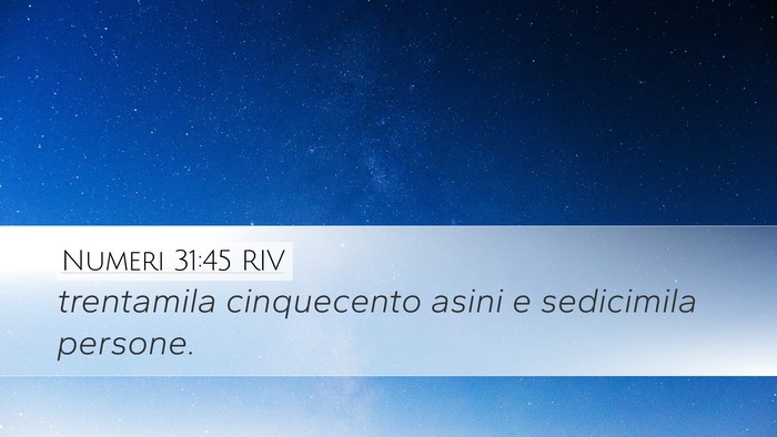 Numeri 31:45 RIV Desktop Wallpaper - trentamila cinquecento asini e sedicimila - Desktop Bible Verse Wallpaper