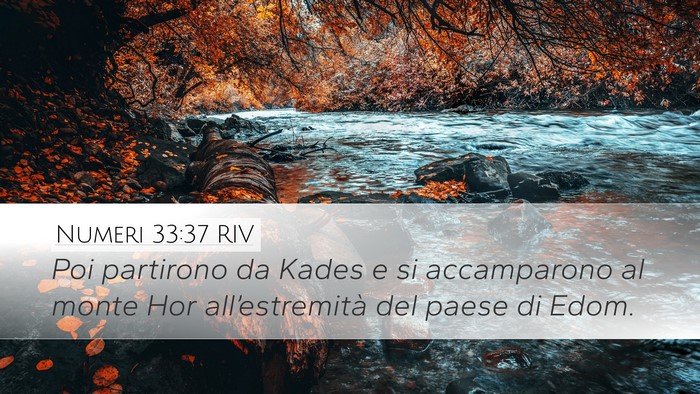 Numeri 33:37 RIV Bible Verse Image