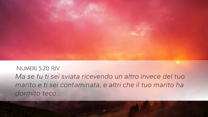 Numeri 5:20 RIV Bible Verse Image