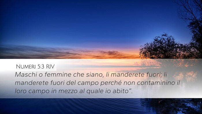 Numeri 5:3 RIV Bible Verse Image