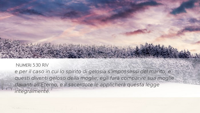 Numeri 5:30 RIV Desktop Wallpaper - e per il caso in cui lo spirito di gelosia - Desktop Bible Verse Wallpaper