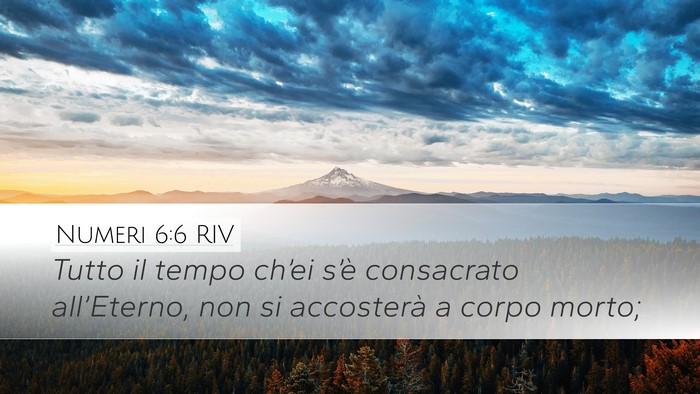 Numeri 6:6 RIV Bible Verse Image